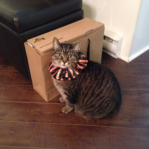 chab-halloween-2